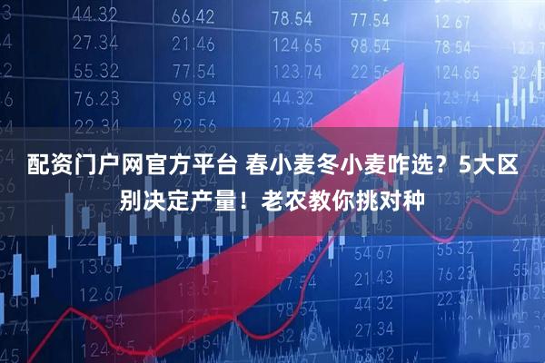 配资门户网官方平台 春小麦冬小麦咋选？5大区别决定产量！老农教你挑对种
