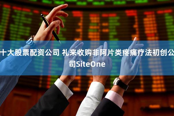 十大股票配资公司 礼来收购非阿片类疼痛疗法初创公司SiteOne