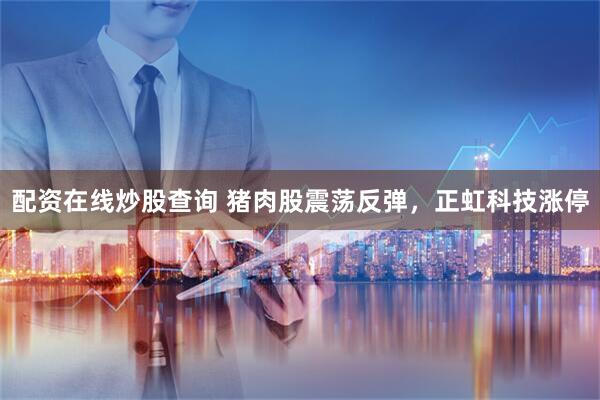 配资在线炒股查询 猪肉股震荡反弹，正虹科技涨停