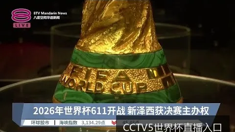 CCTV5世界杯直播入口